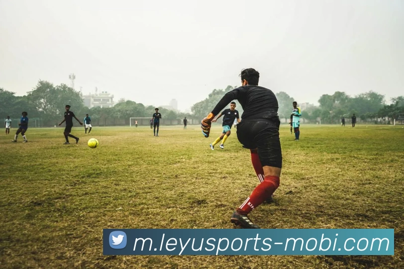 乐鱼体育平台生态图